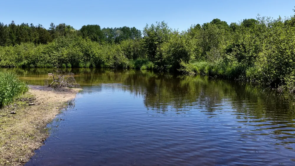 17274 Wilson Road Colfax Township, MI 49307