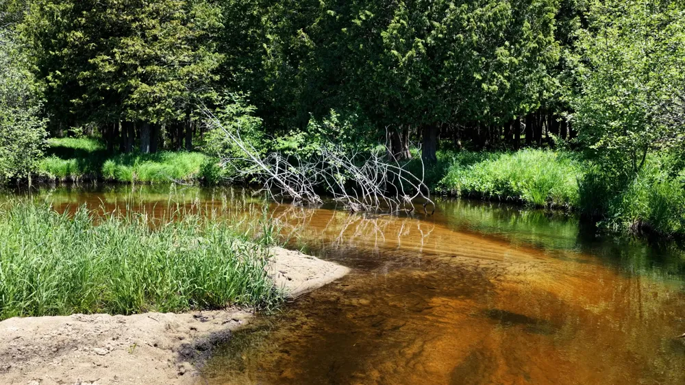 17274 Wilson Road Colfax Township, MI 49307