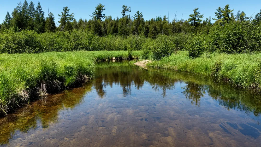 17274 Wilson Road Colfax Township, MI 49307