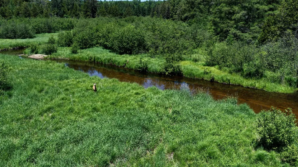 17274 Wilson Road Colfax Township, MI 49307