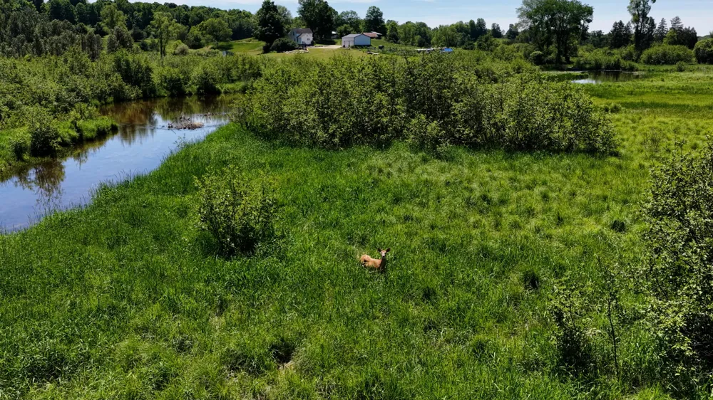 17274 Wilson Road Colfax Township, MI 49307