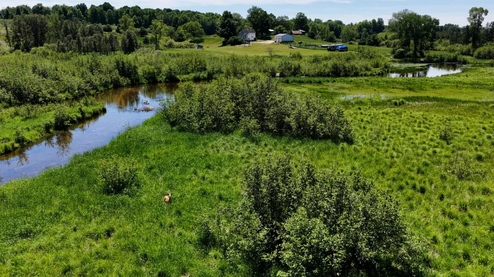 17274 Wilson Road Colfax Township, MI 49307