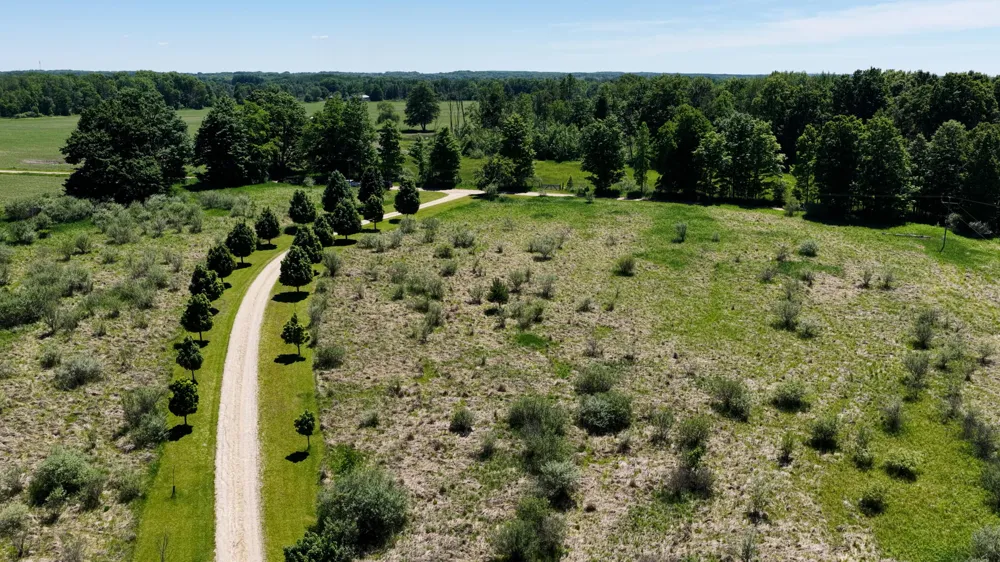 17274 Wilson Road Colfax Township, MI 49307