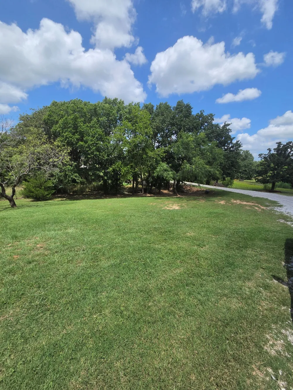 511 Erwin Road Poolville, TX 76487