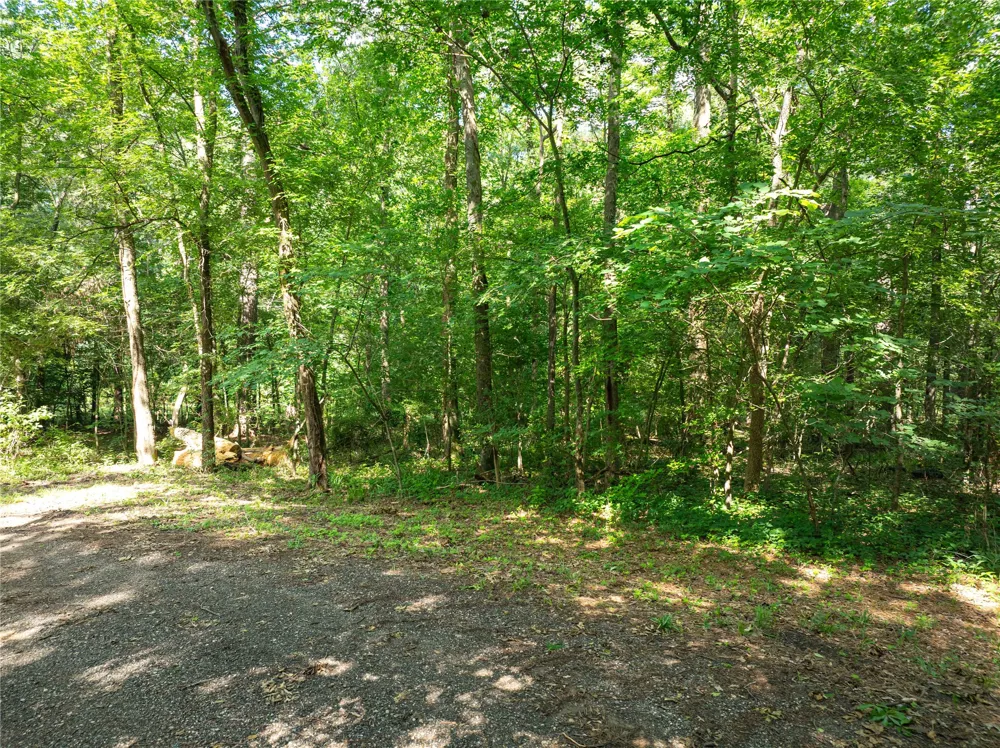 Bandera Mount Vernon, TX 75457