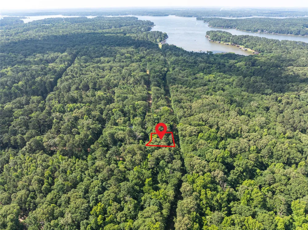 Bandera Mount Vernon, TX 75457