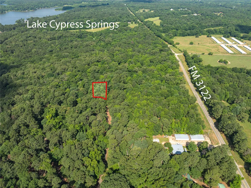 Bandera Mount Vernon, TX 75457