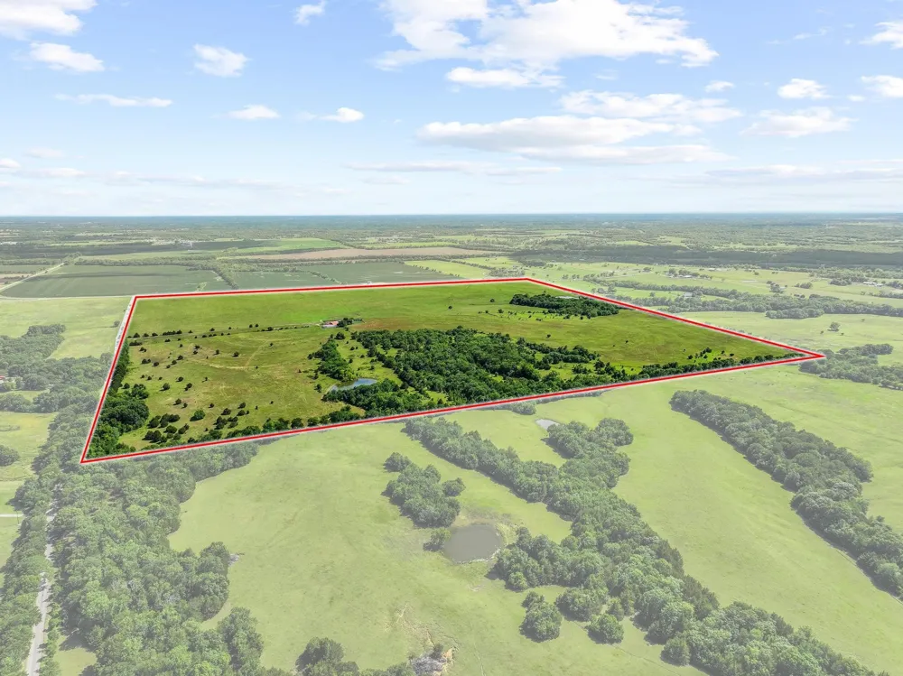 FM 697 Whitewright, TX 75491