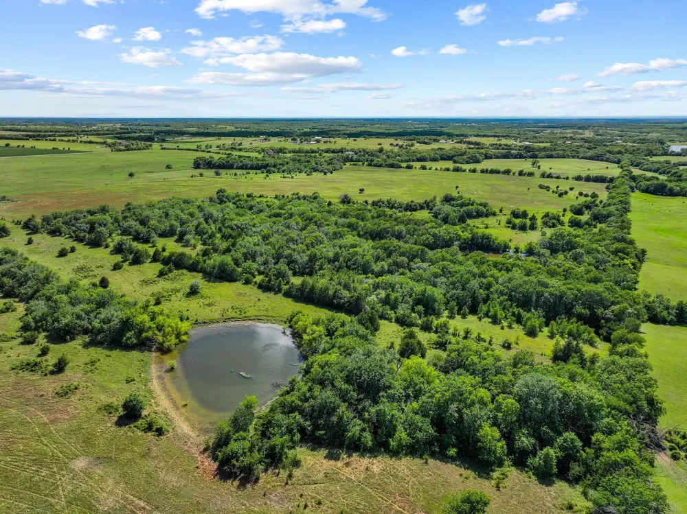 FM 697 Whitewright, TX 75491