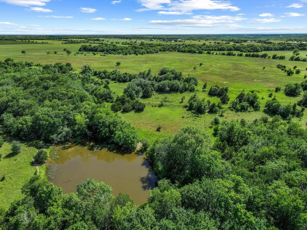 FM 697 Whitewright, TX 75491