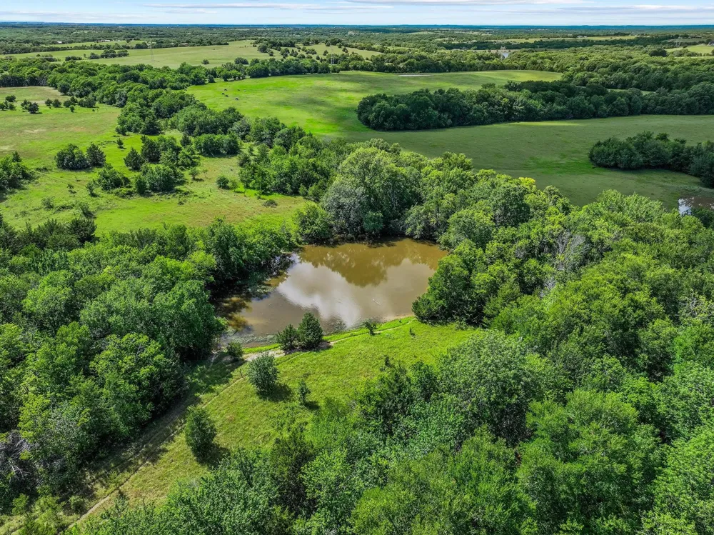 FM 697 Whitewright, TX 75491