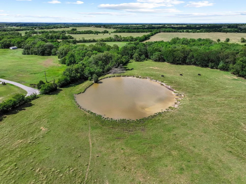 FM 697 Whitewright, TX 75491