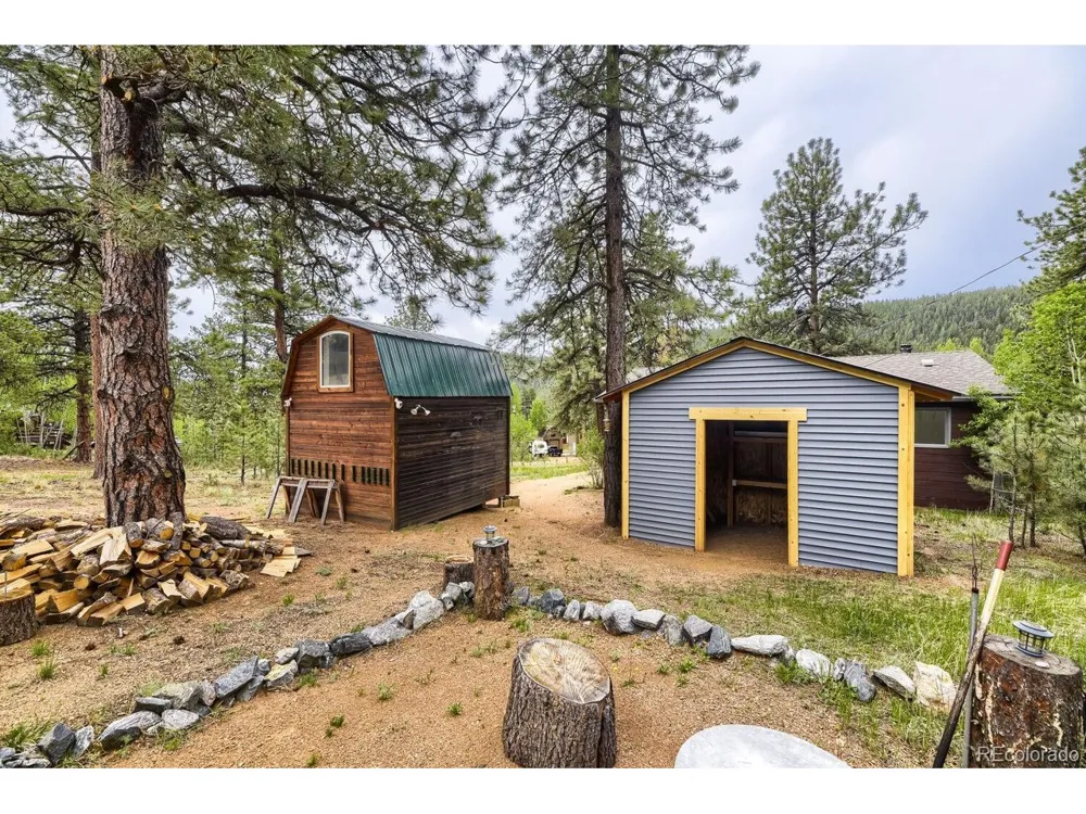 303 Hall Road Bailey, CO 80421
