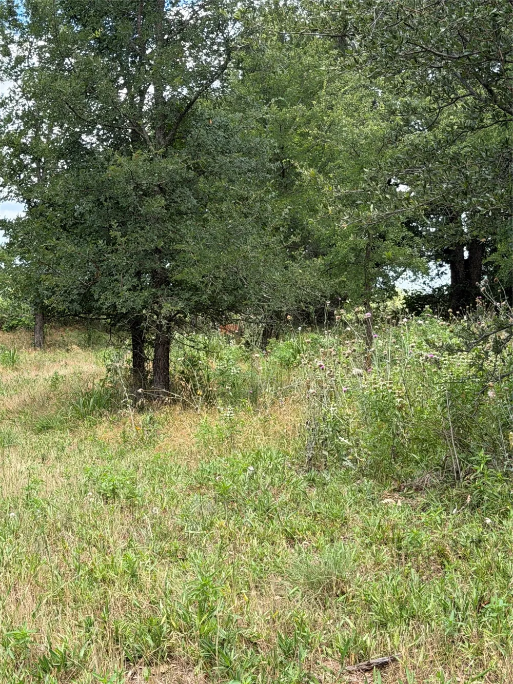 1024 Glen Road Weatherford, TX 76087