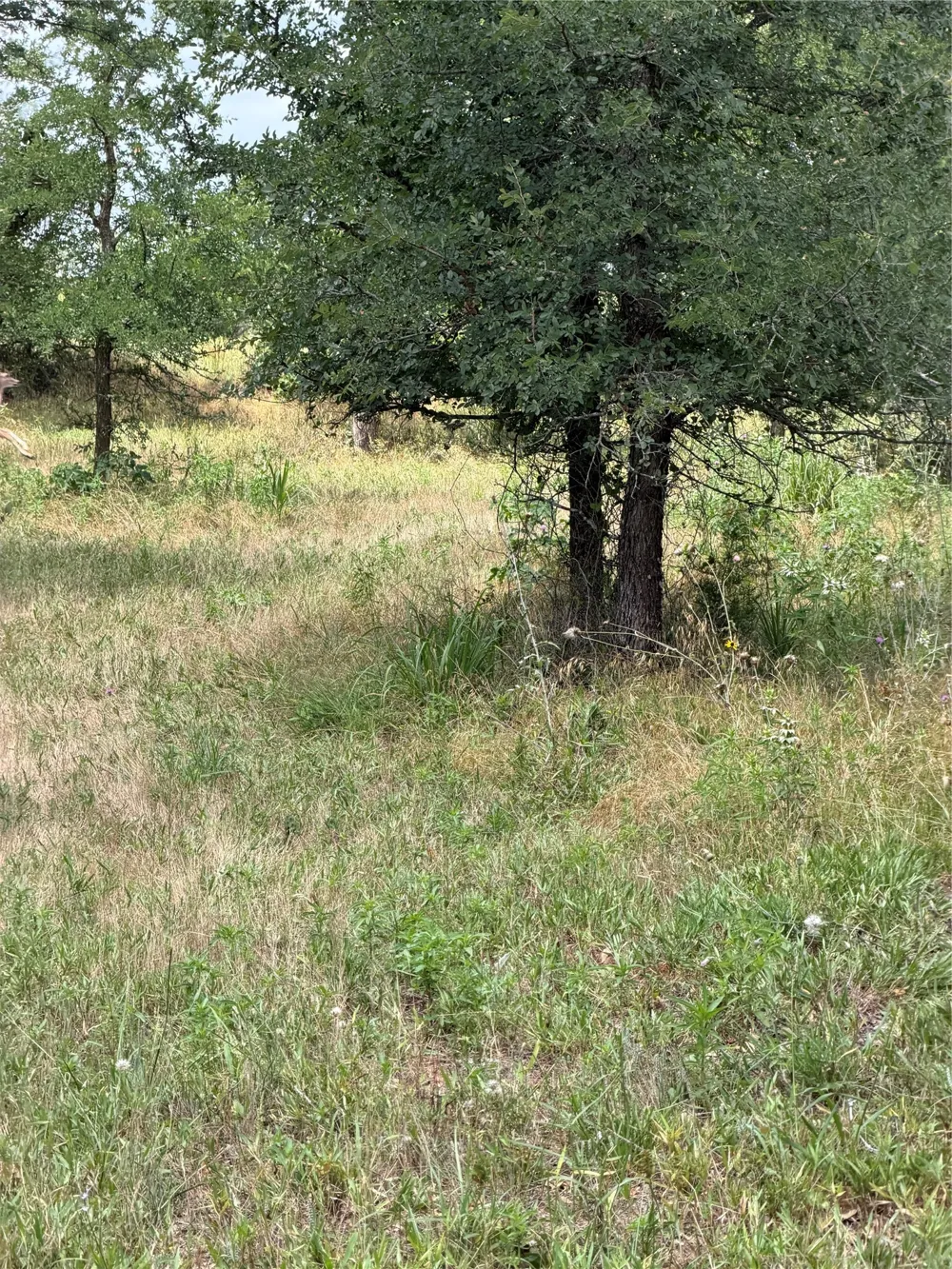 1024 Glen Road Weatherford, TX 76087