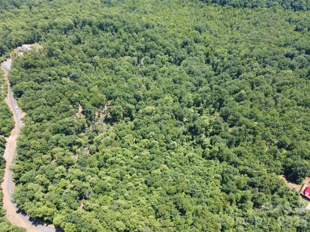 118 Upper Ridge Road Bostic, NC 28018