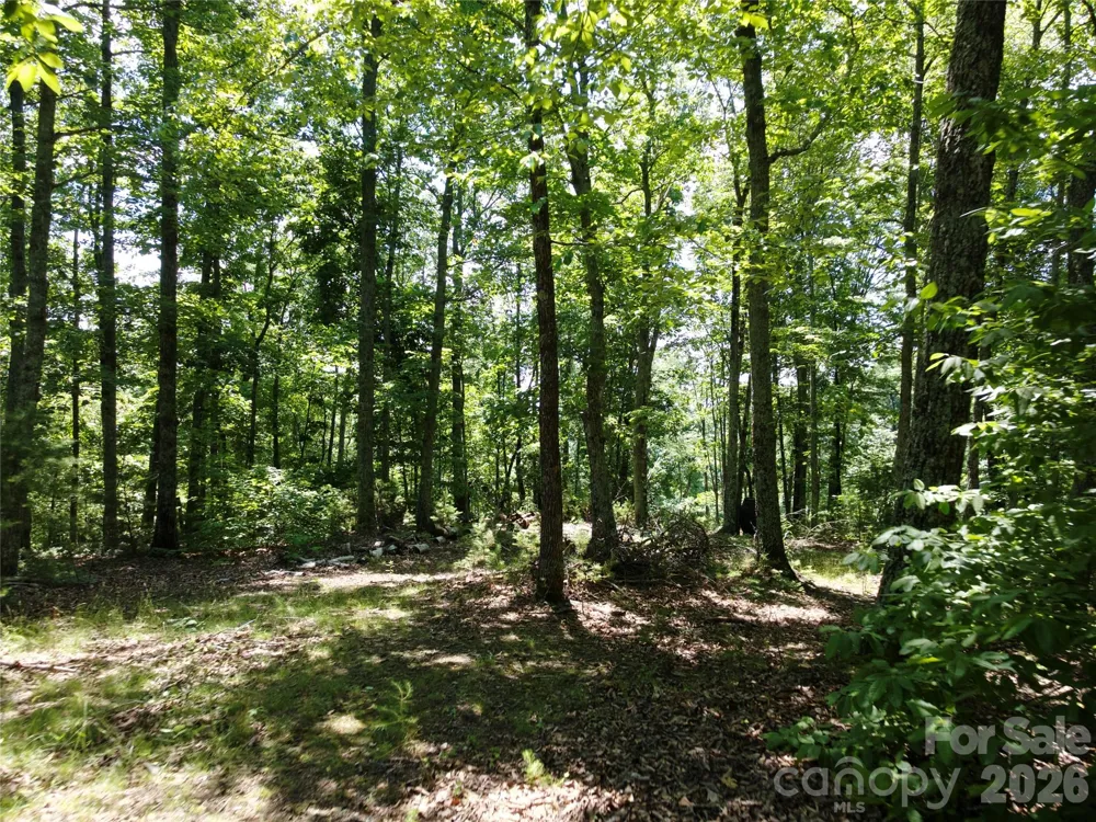 118 Upper Ridge Road Bostic, NC 28018