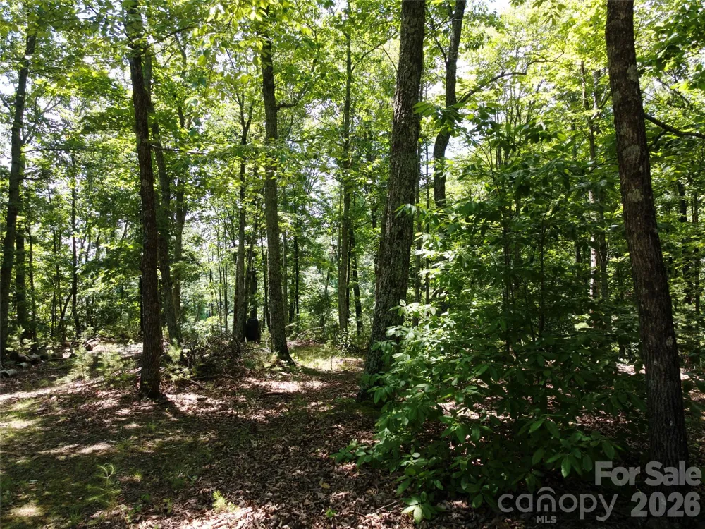 118 Upper Ridge Road Bostic, NC 28018