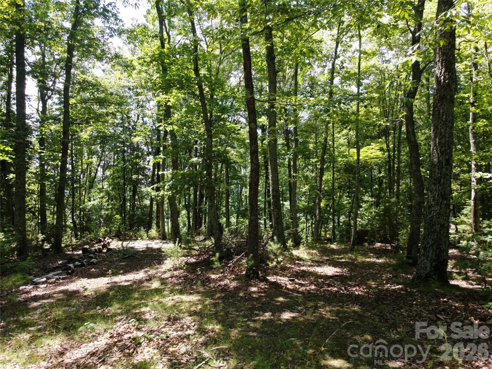 118 Upper Ridge Road Bostic, NC 28018