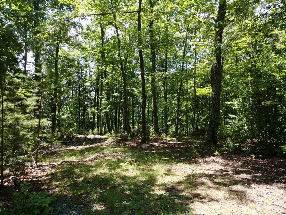 118 Upper Ridge Road Bostic, NC 28018