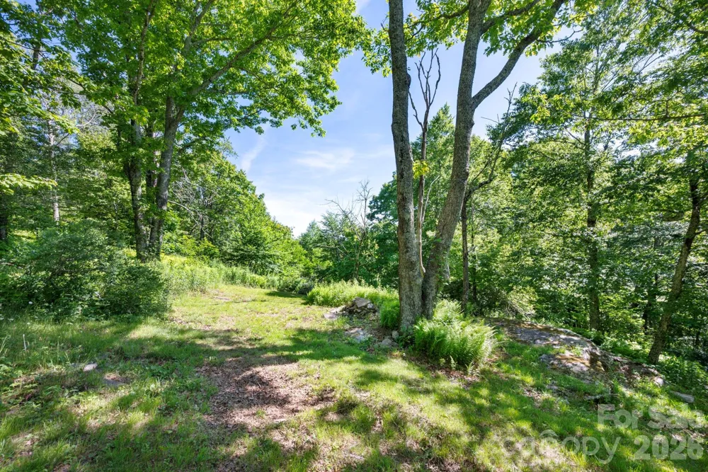 58 Randall Drive Fairview, NC 28730