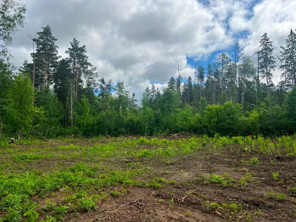 Lot 9 Blk 1 Isleview Road Grand Rapids, MN 55744