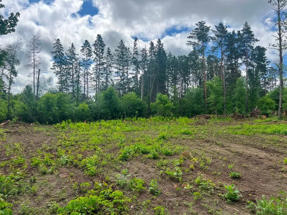 Lot 9 Blk 1 Isleview Road Grand Rapids, MN 55744