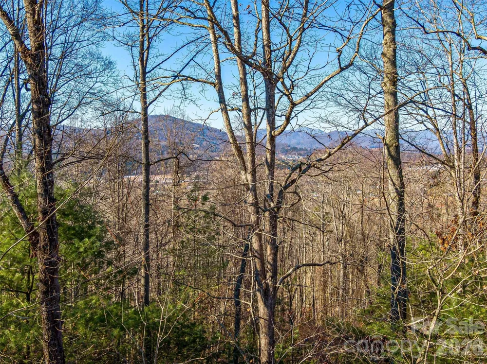 92 Chimney Crest Drive Asheville, NC 28806
