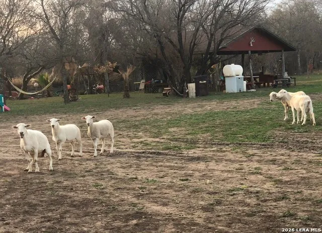 522 Sleeping Spring Eagle Pass, TX 78852