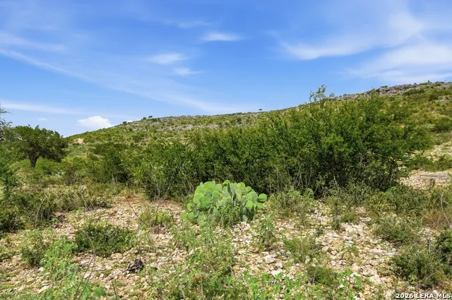 324 Private Road 3325 Sabinal, TX 78881