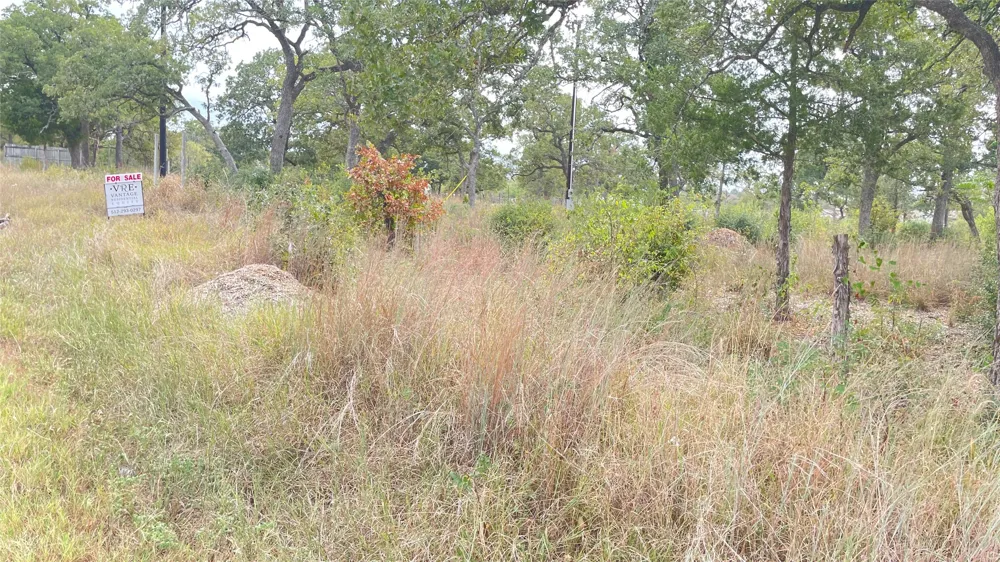 191 Tuck Street Cedar Creek, TX 78612