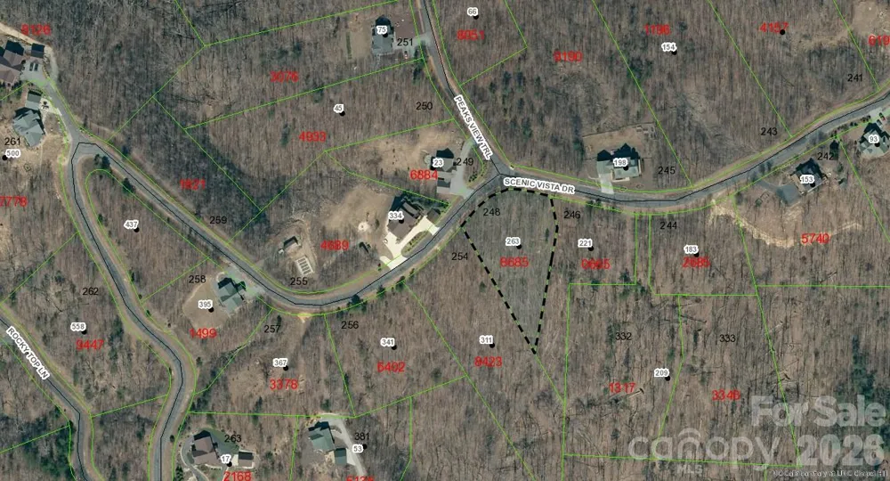 V/L Scenic Vista Drive #248 Nebo, NC 28761