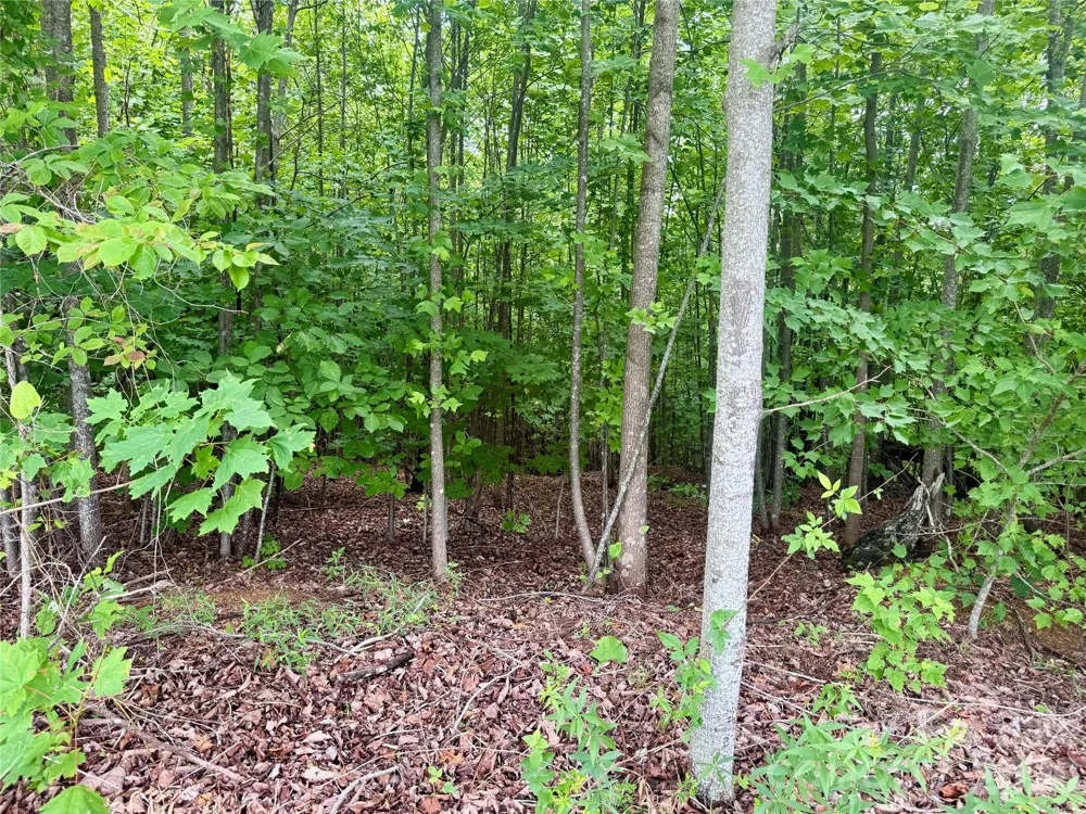 V/L Scenic Vista Drive #248 Nebo, NC 28761