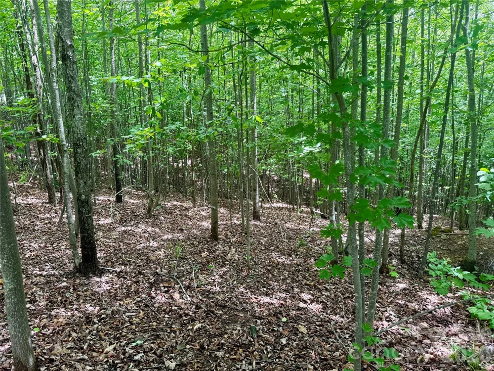 V/L Scenic Vista Drive #248 Nebo, NC 28761