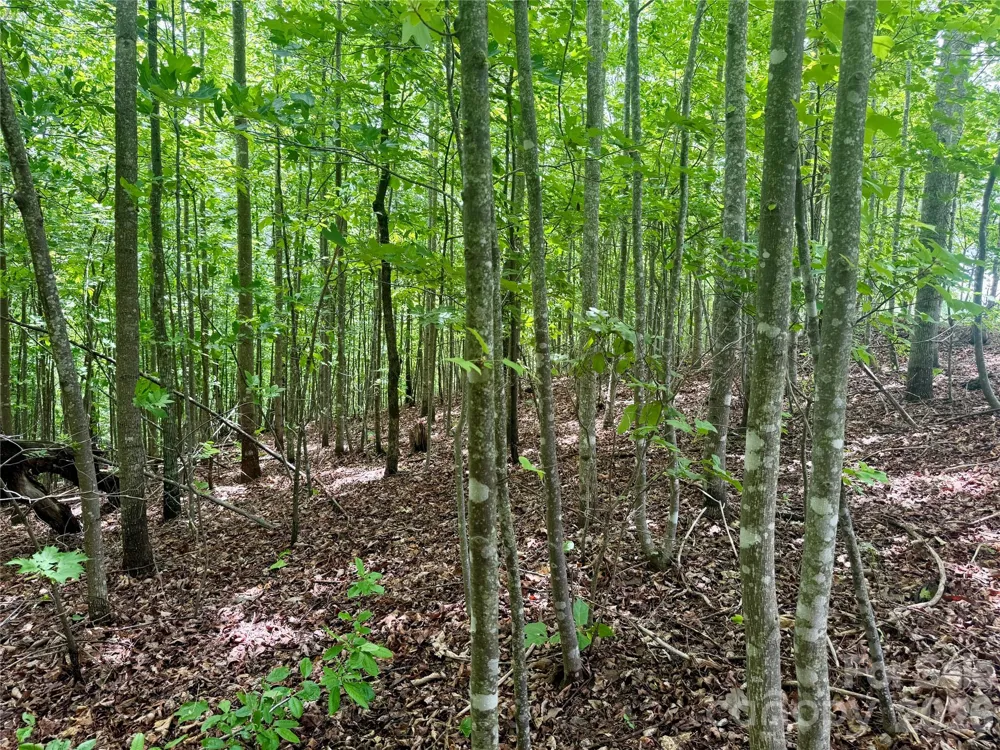 V/L Scenic Vista Drive #248 Nebo, NC 28761