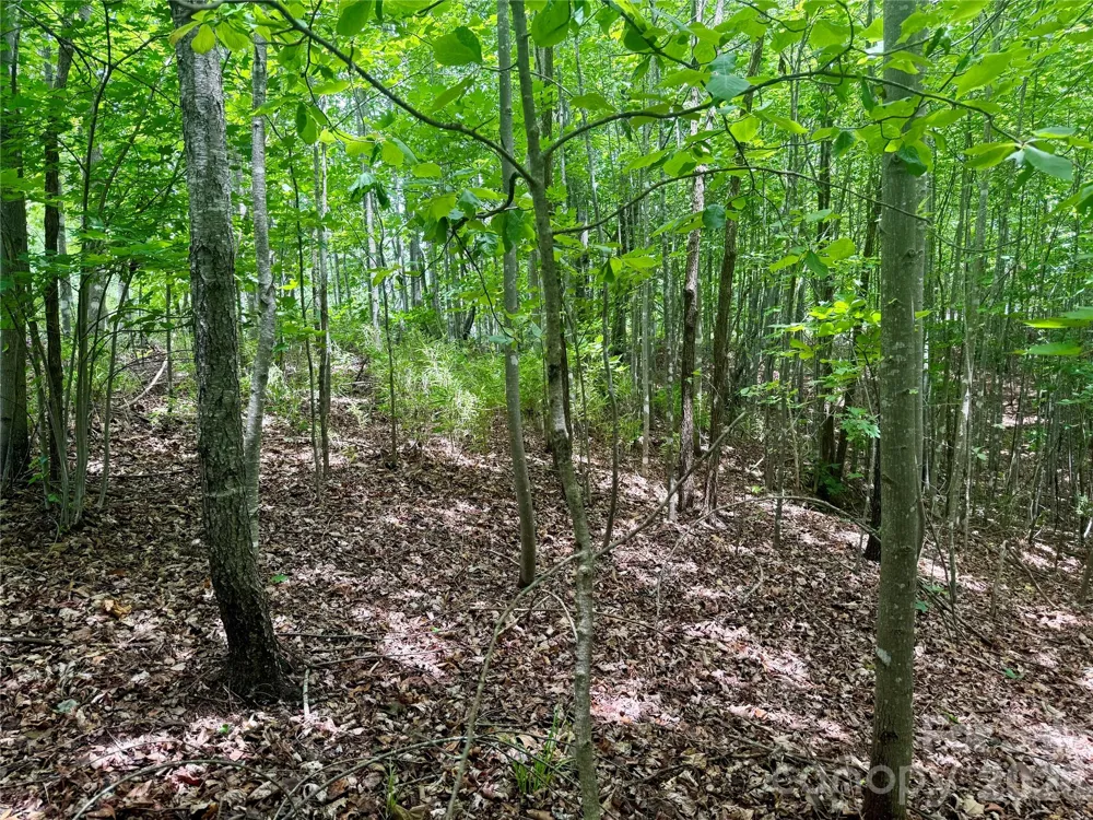 V/L Scenic Vista Drive #248 Nebo, NC 28761