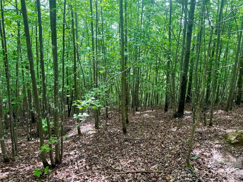 V/L Scenic Vista Drive #248 Nebo, NC 28761