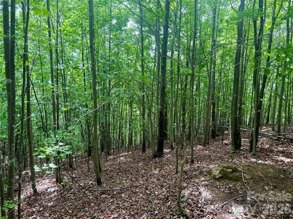 V/L Scenic Vista Drive #248 Nebo, NC 28761