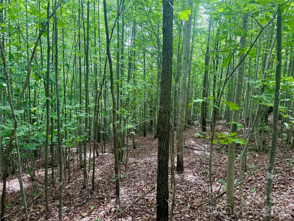 V/L Scenic Vista Drive #248 Nebo, NC 28761