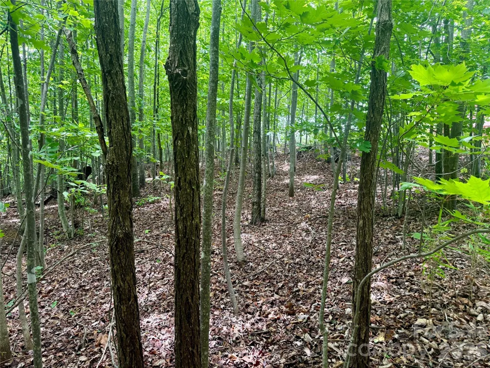 V/L Scenic Vista Drive #248 Nebo, NC 28761