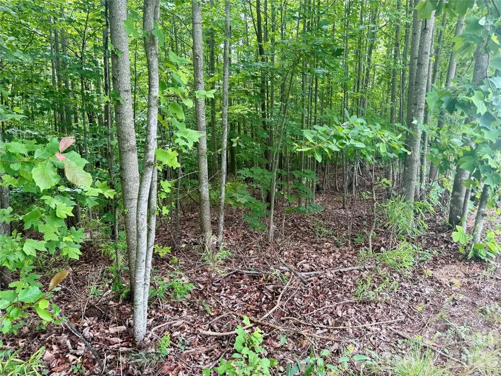 V/L Scenic Vista Drive #248 Nebo, NC 28761