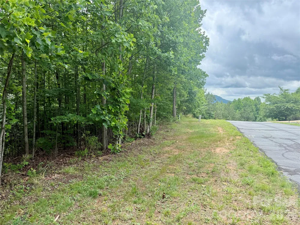 V/L Scenic Vista Drive #248 Nebo, NC 28761