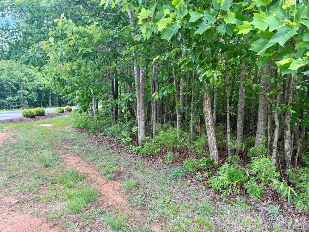 V/L Scenic Vista Drive #248 Nebo, NC 28761