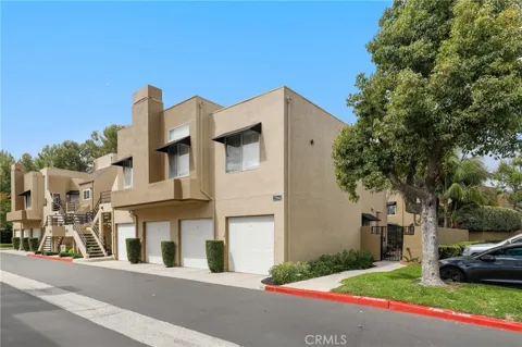 27841 Persimmon #44