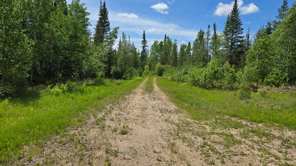 5142 Wolf Knoll Road Orr, MN 55771