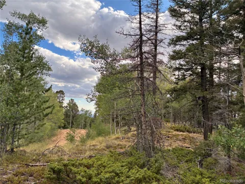 LOT 5563 Balleroy Road