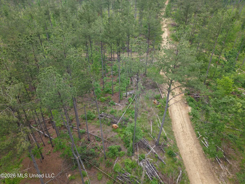 Graysport Crossing Road Grenada, MS 38901