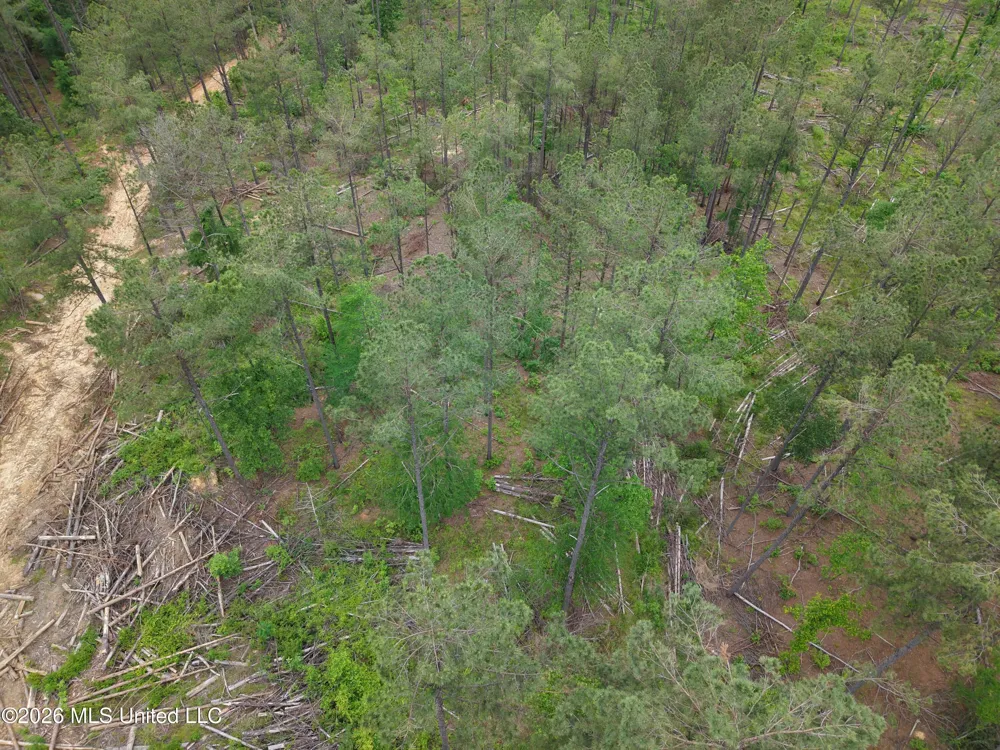 Graysport Crossing Road Grenada, MS 38901