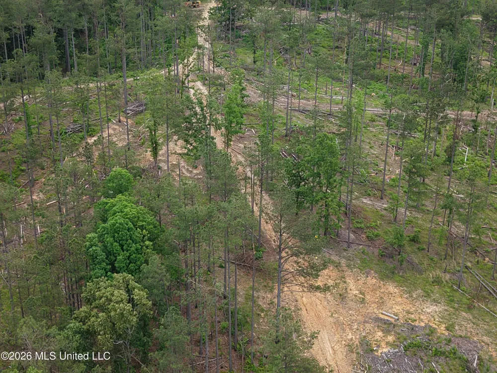 Graysport Crossing Road Grenada, MS 38901