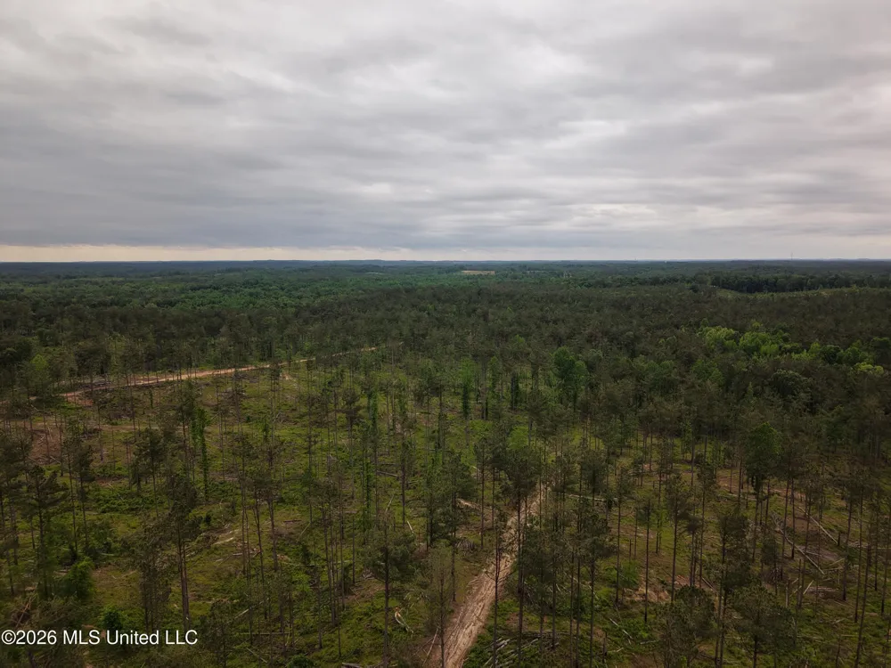 Graysport Crossing Road Grenada, MS 38901